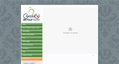 Desktop Screenshot of charlestonbicycletours.com